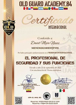 El Profesional de Seguridad