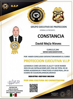 Protección Ejecutiva VIP