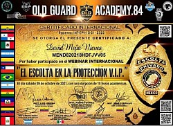 El Escolta en la Protección V.I.P.