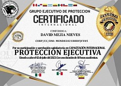 Protección Ejecutiva