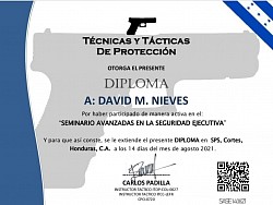 Avanzadas en la Seguridad Ejecutiva
