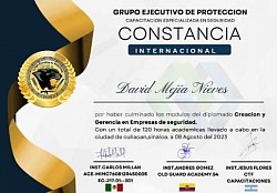 Creación y Gerencia de Empresas de Seguridad Privada