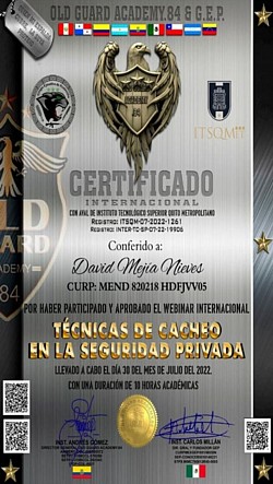Técnicas de Cacheo en la Seguridad Privada