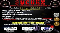Curso Instructor Táctico Estratégico