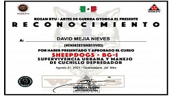 SheepDogs - Supervivencia Urbana y Cuchillo Depredador