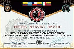 Instructor en el curso Seguridad y Protección a Terceros
