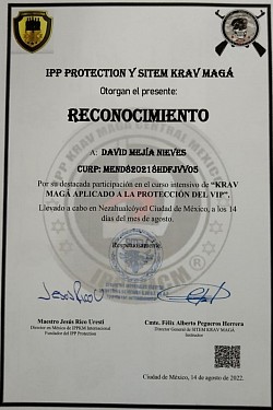 IPP Protectión y SITEM