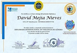 Diplomado Internacional en Violencia de Genero