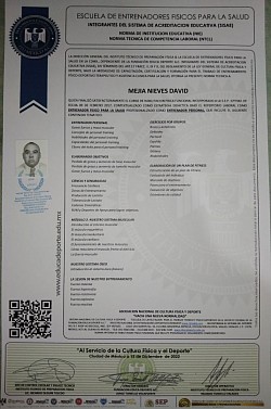 Tira de Materias