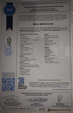 Tira de Materias