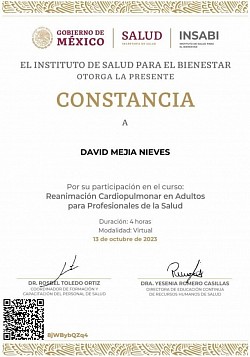 Reanimación Cardiopulmonar en Adultos para profesionales de la salud