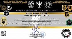 Grupo de Operaciones Especiales 
