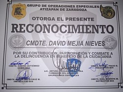 Grupo de Operaciones Especiales 