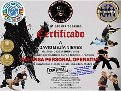 Defensa Personal Operativa
