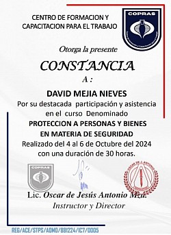 Protección a Personas y Bienes en materia de Seguridad