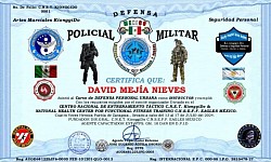 Defensa Personal Urbana