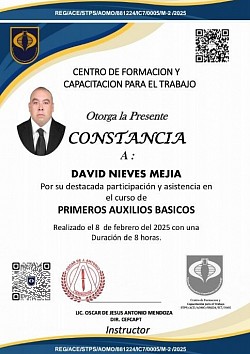 Primeros Auxilios Básicos